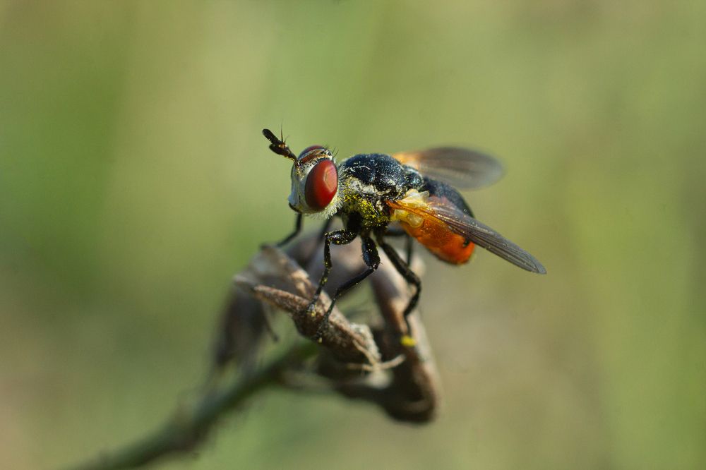 Photograph by Дарья Улюсова