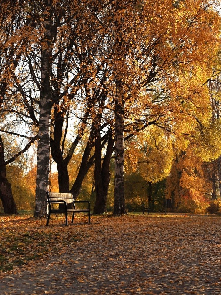 Photograph by Svetlana Hirvonen