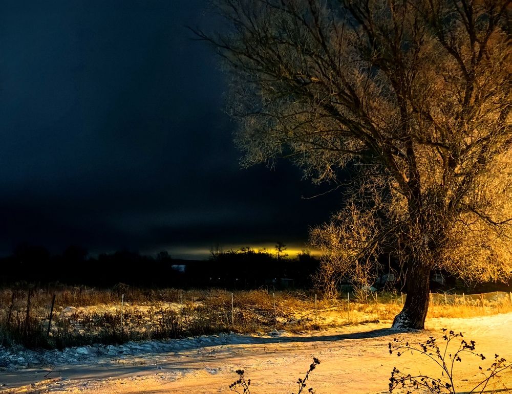Photograph by Марина Побережная