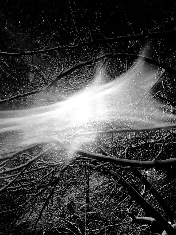 Photograph by Olga Kot