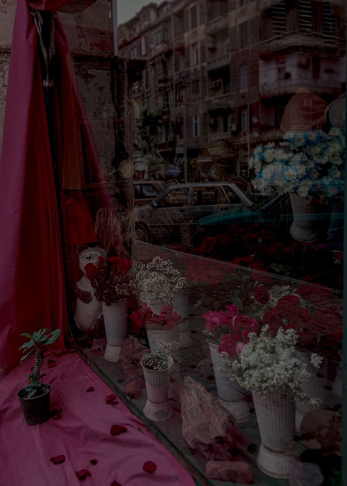 Photograph by Mennatullah Dakhly