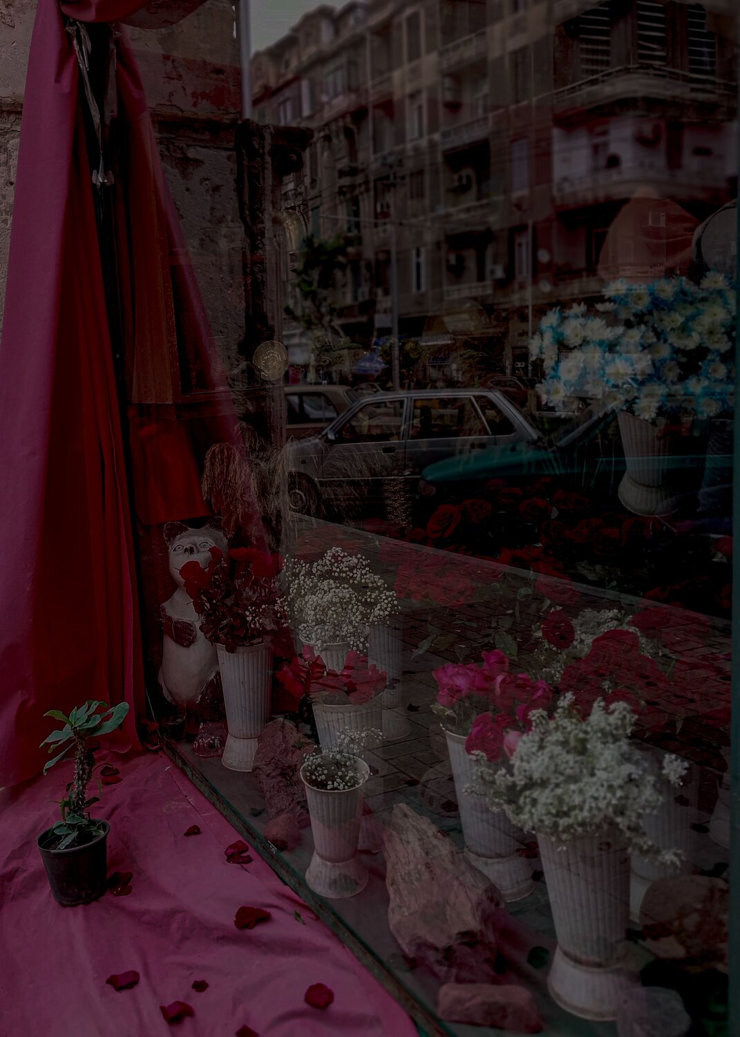 Photo #11904686