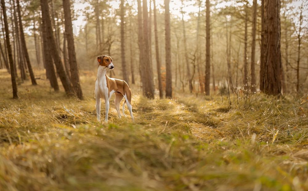Photograph by Yong Lei van Barlingen