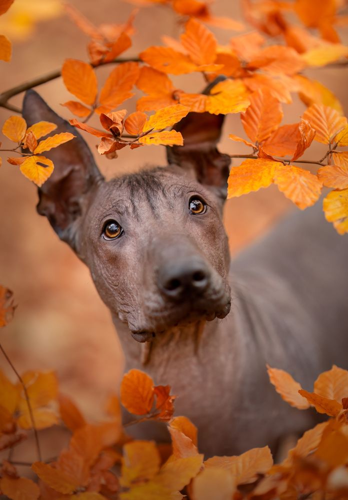 Photograph by Yong Lei van Barlingen
