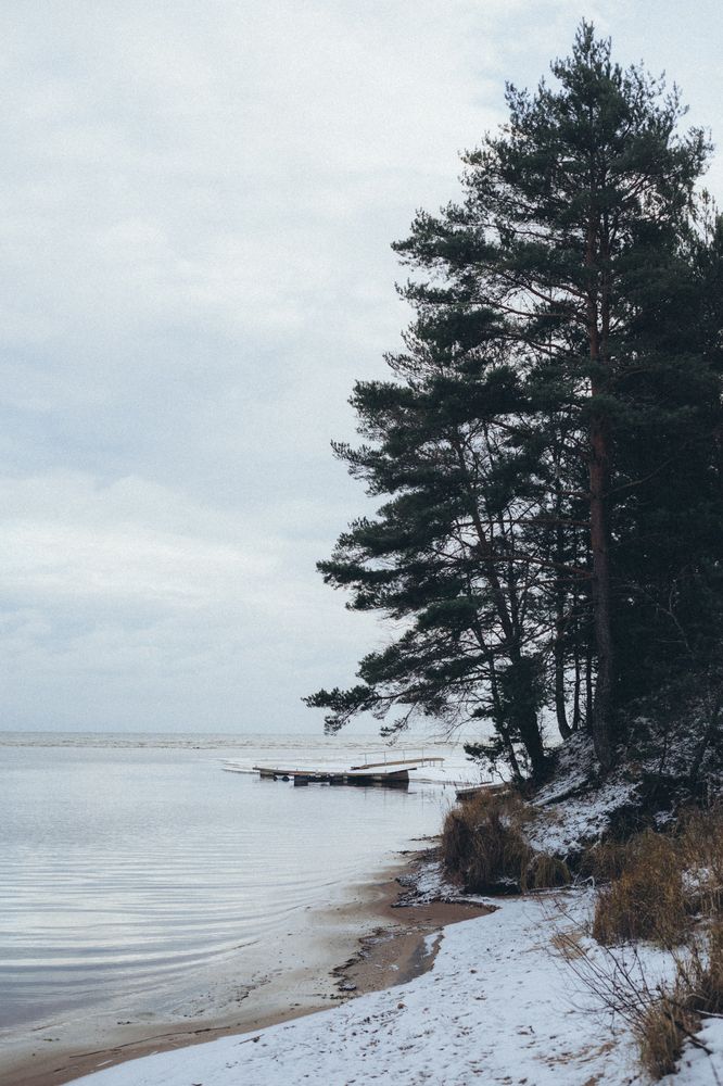 Фотография автора Valentina