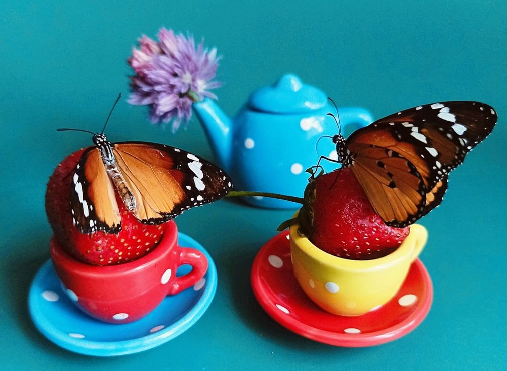 Photograph by Наталья Шумилова