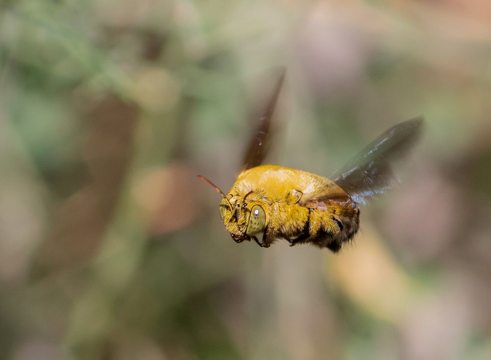 Фотография автора Ismail SAIDI