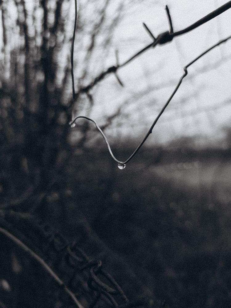 Photograph by Катрина Покумейко