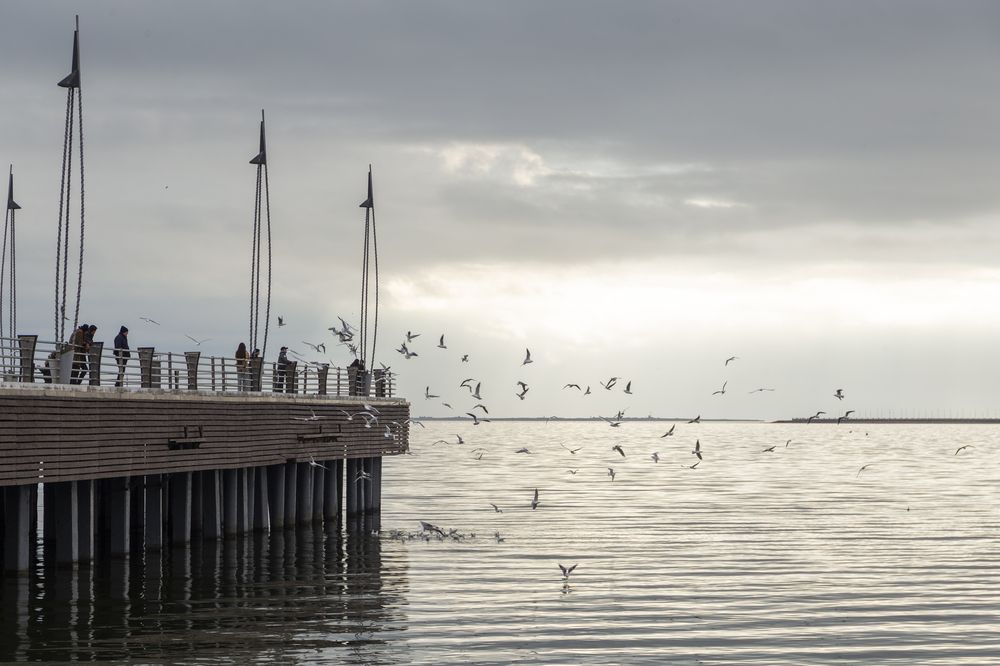 Photograph by Nail Ahmadov