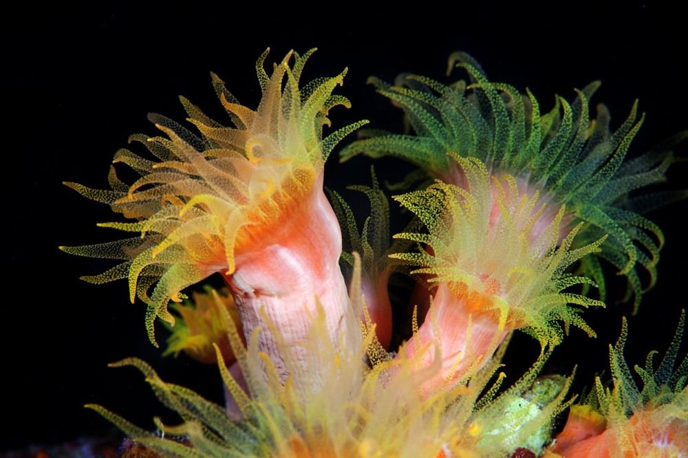 Фотография автора Андрей Нарчук