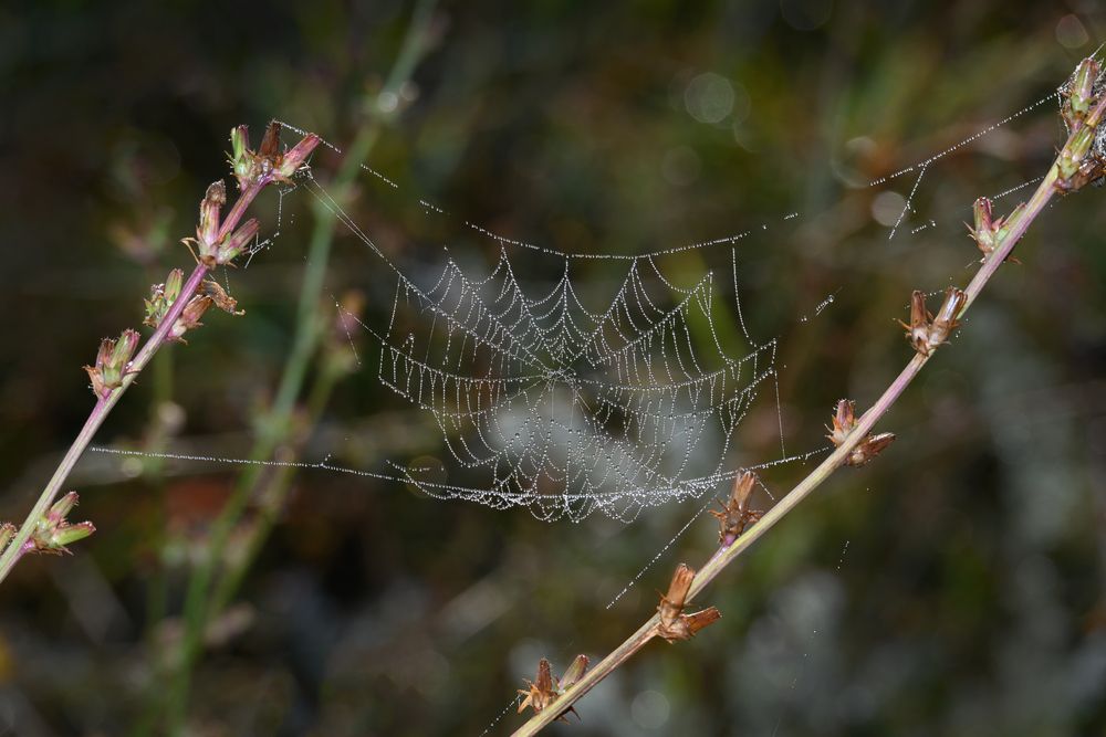 Photograph by Сергей Мальцев