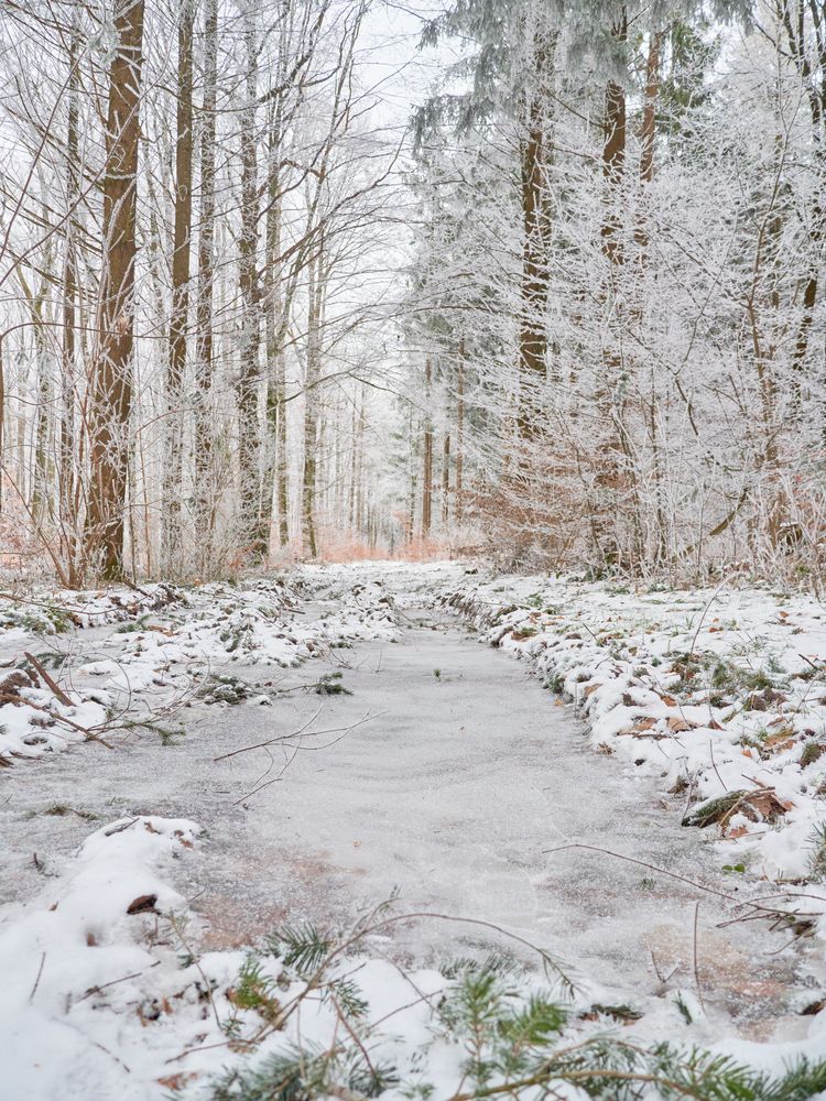 Photograph by Juri Vollenweider