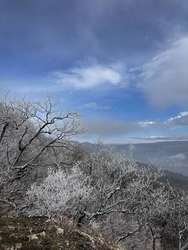Photograph by Екатерина Анпилова