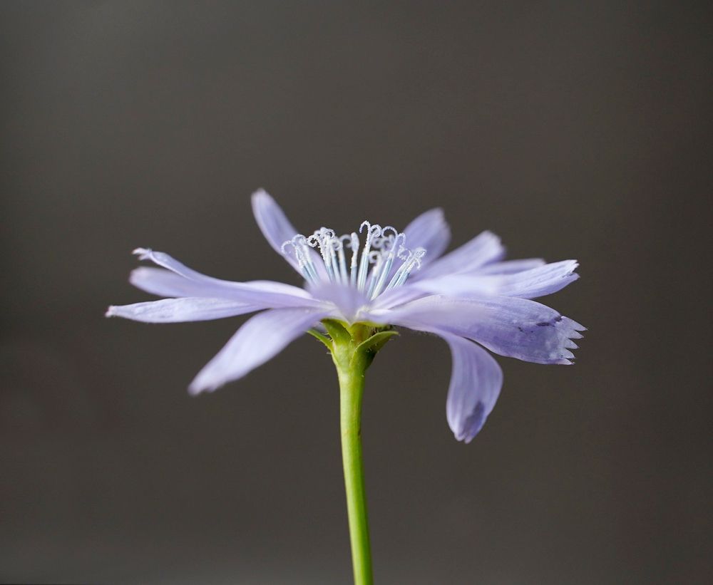 Photograph by Светлана Семенова