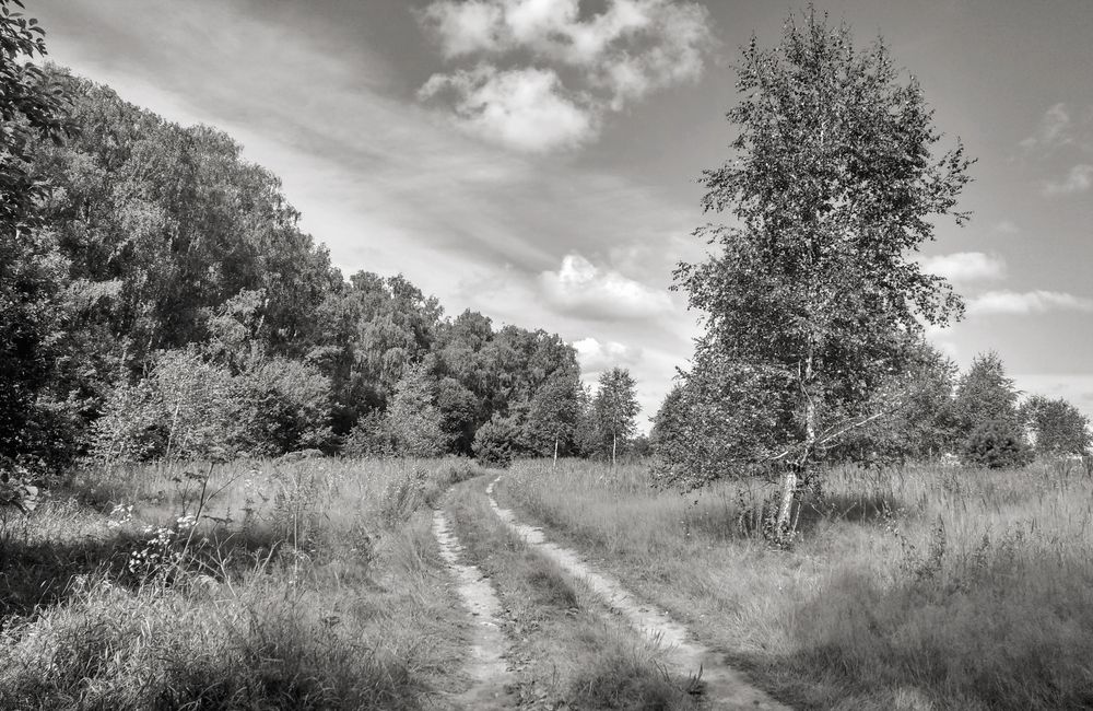 Фотография автора Панюшкин Владислав Владимирович