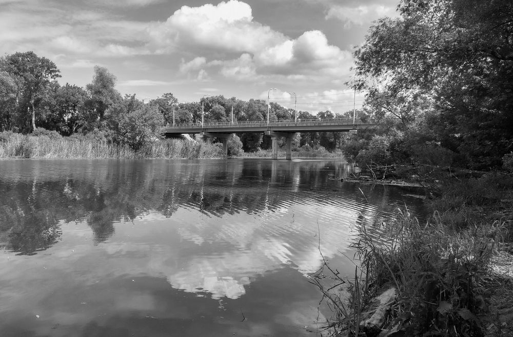 Фотография автора Панюшкин Владислав Владимирович