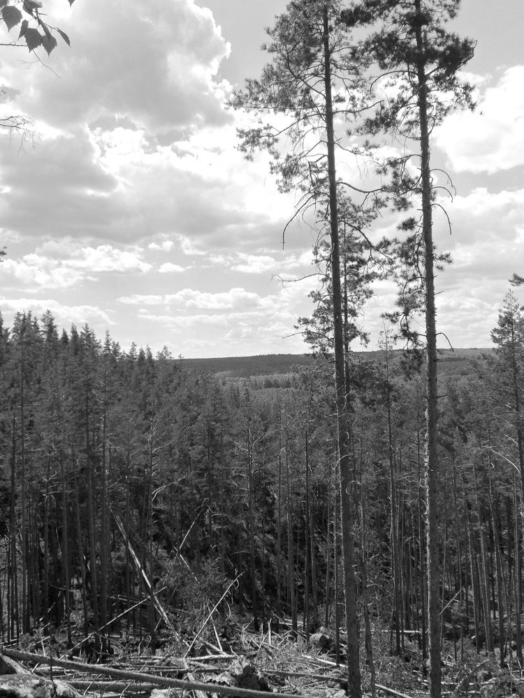 Photograph by Татьяна Иваненкова