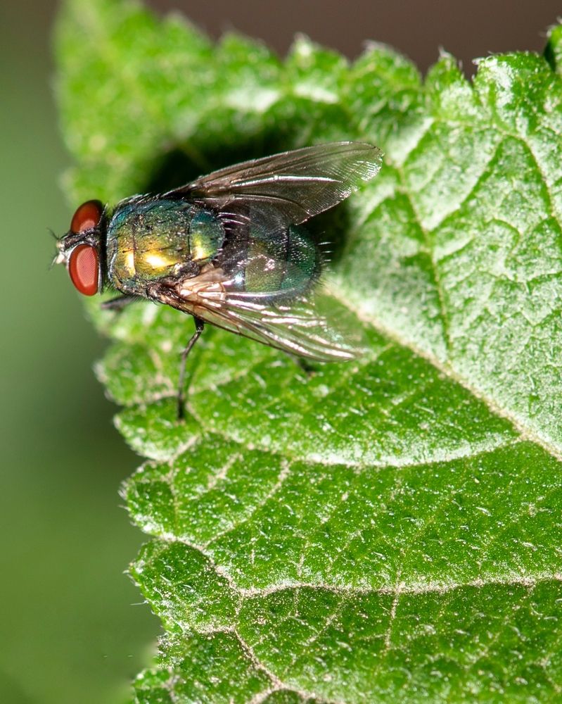 Photograph by Amir Naserkhani