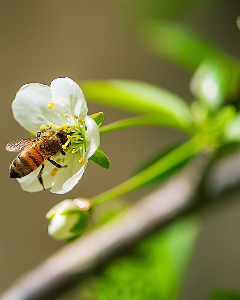 Photograph by Amir Naserkhani