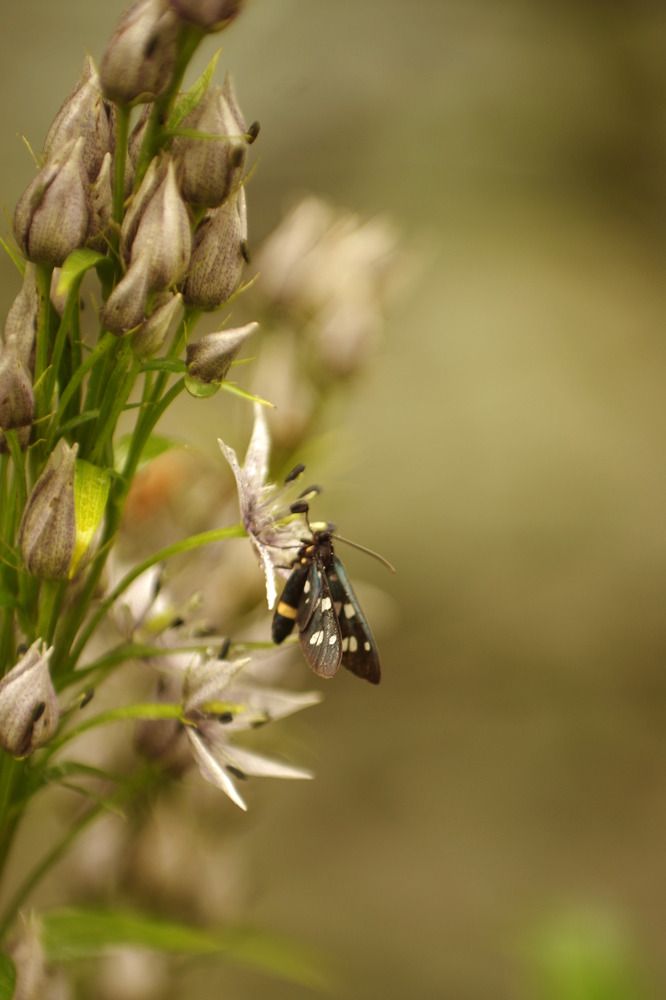 Photograph by Галина Григорьева