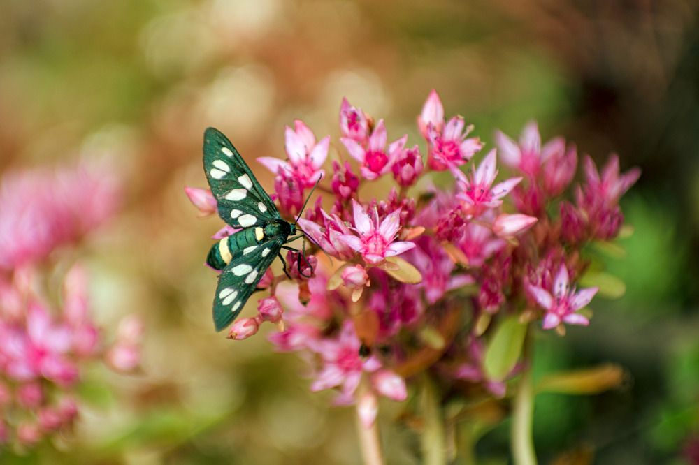 Photograph by Галина Григорьева