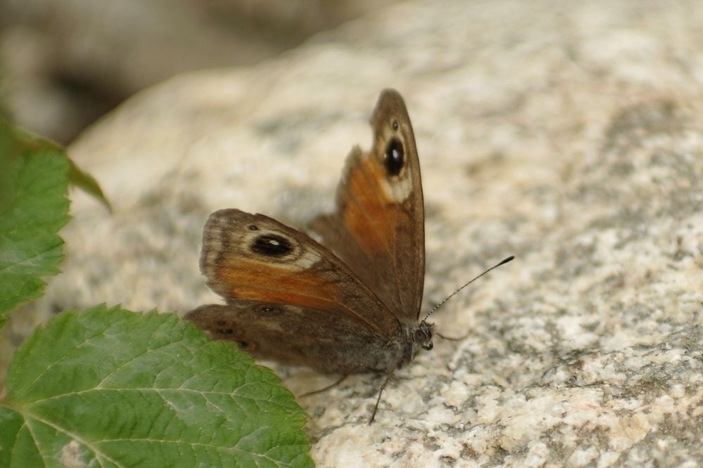 Photograph by Галина Григорьева