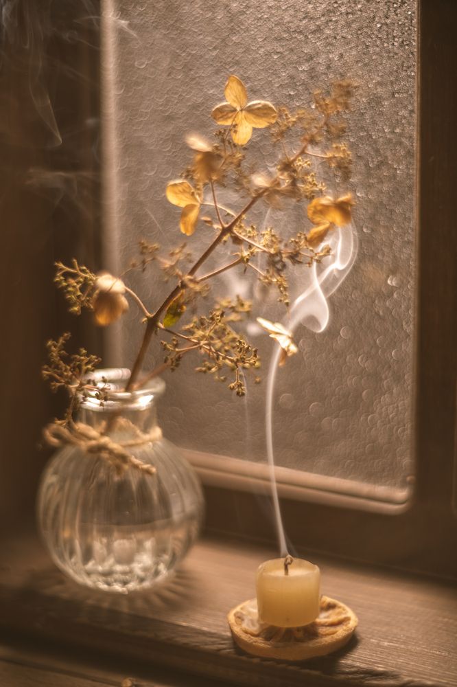 Photograph by Ольга Ильина