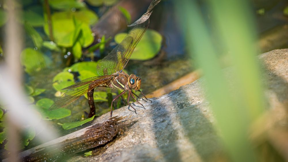 Photograph by Sofia Belyaeva