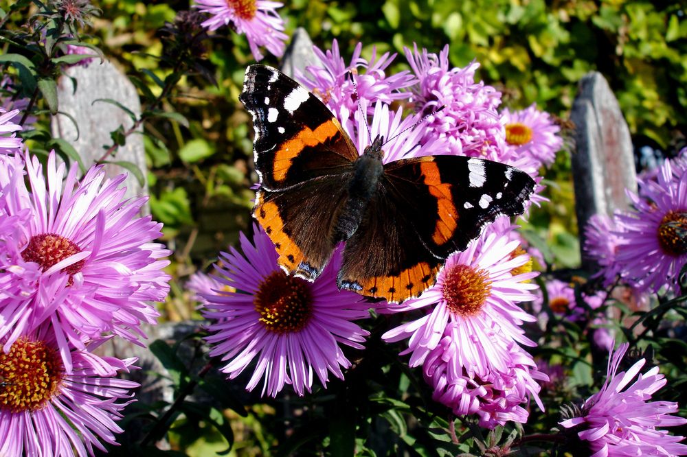 Photograph by Ксения Мироненко