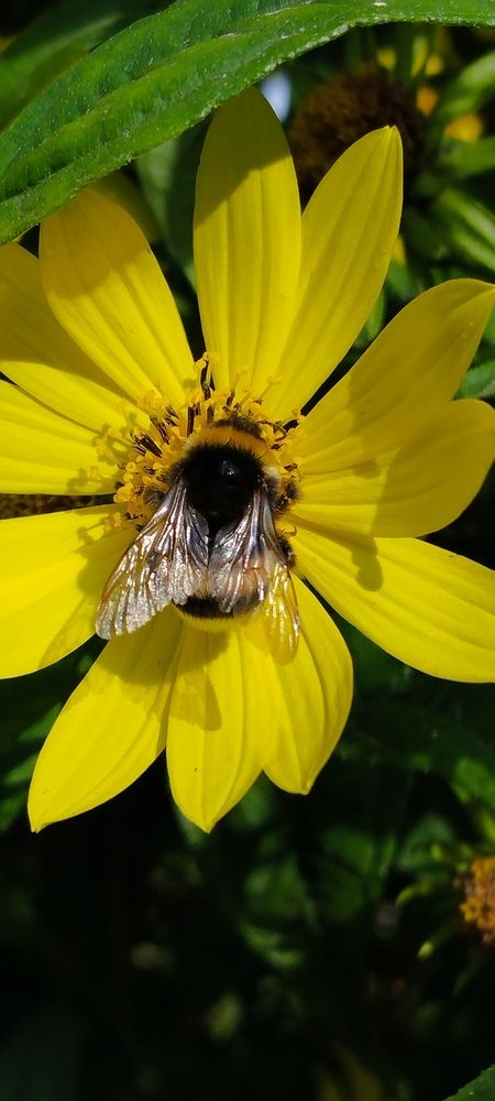 Photograph by Любовь Макарова