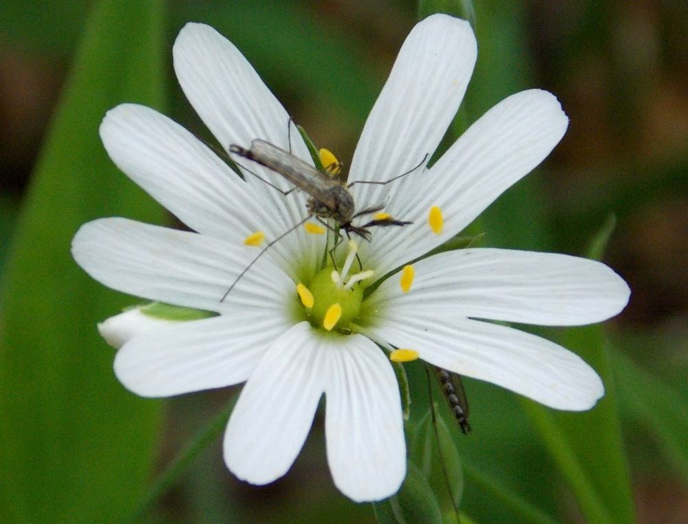 Photograph by Татьяна Иваненкова