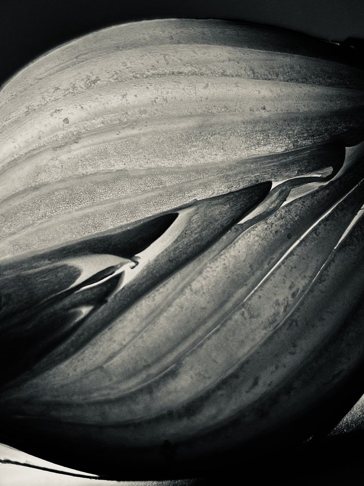 Photograph by Екатерина Митрохина