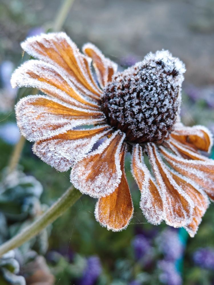 Photograph by Ирина Подлубная