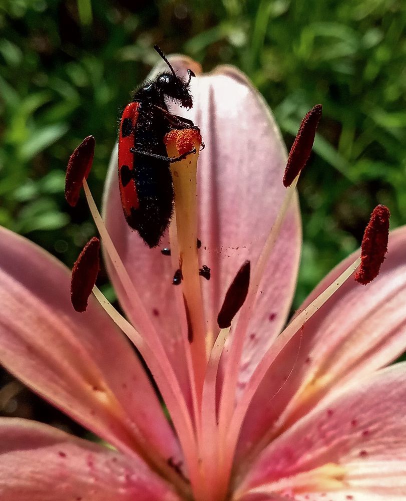 Photograph by Ольга Салтыкова