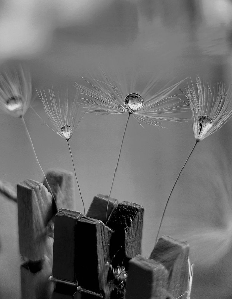 Photograph by Наталья Шумилова