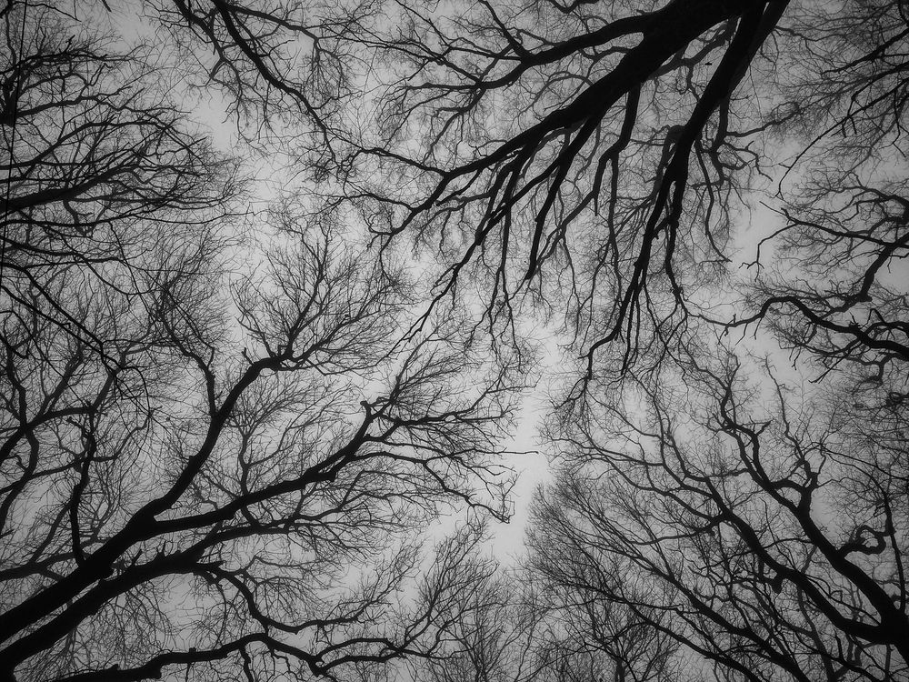 Photograph by Виталий Маслов