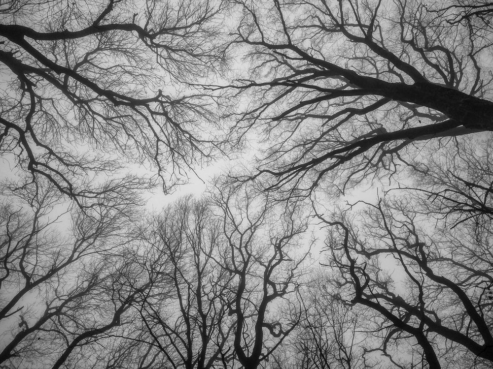 Photograph by Виталий Маслов