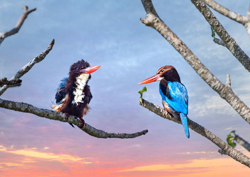 Photograph by NADEZHDA PELYMSKAIA