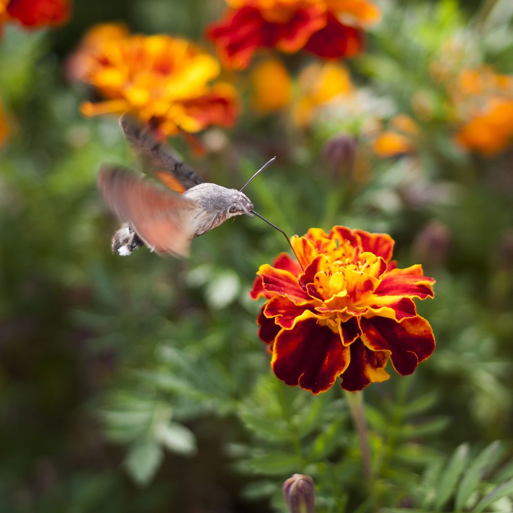 Photograph by Роман Приходько