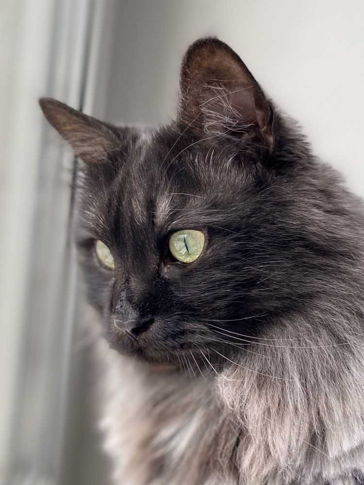 Вселенная в глазах