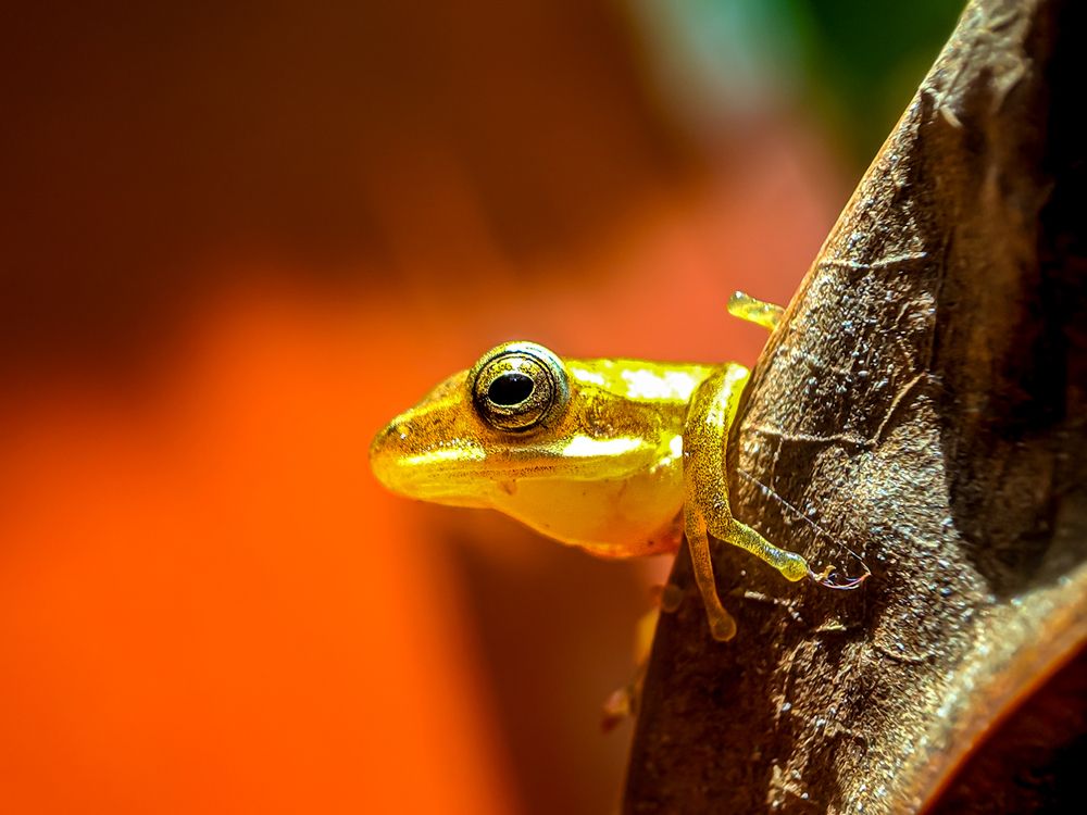 Photograph by sandhya kudli