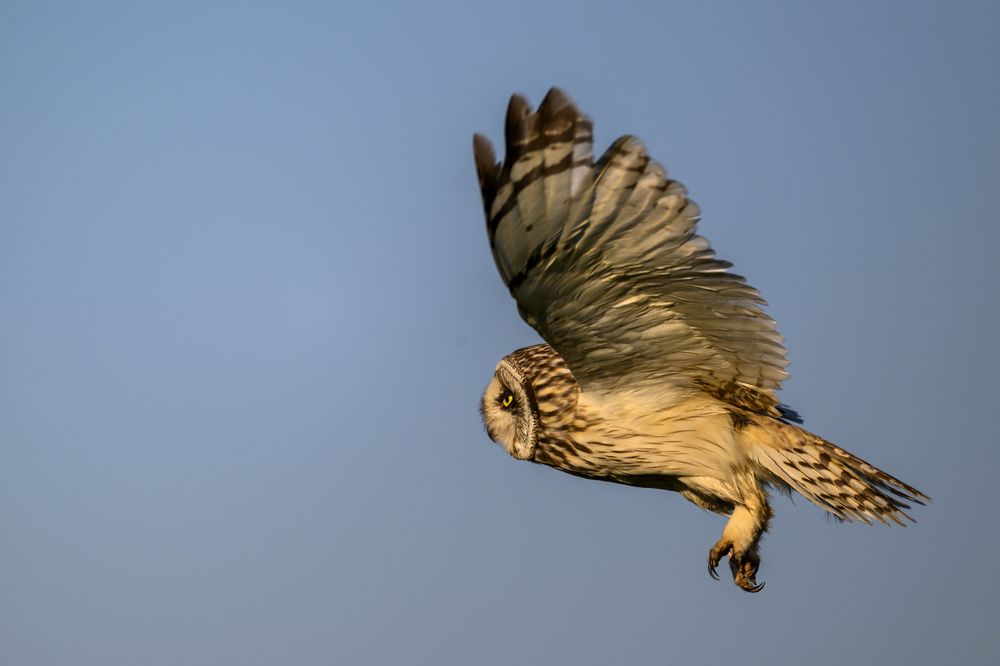 Photograph by Пупонин Сергей