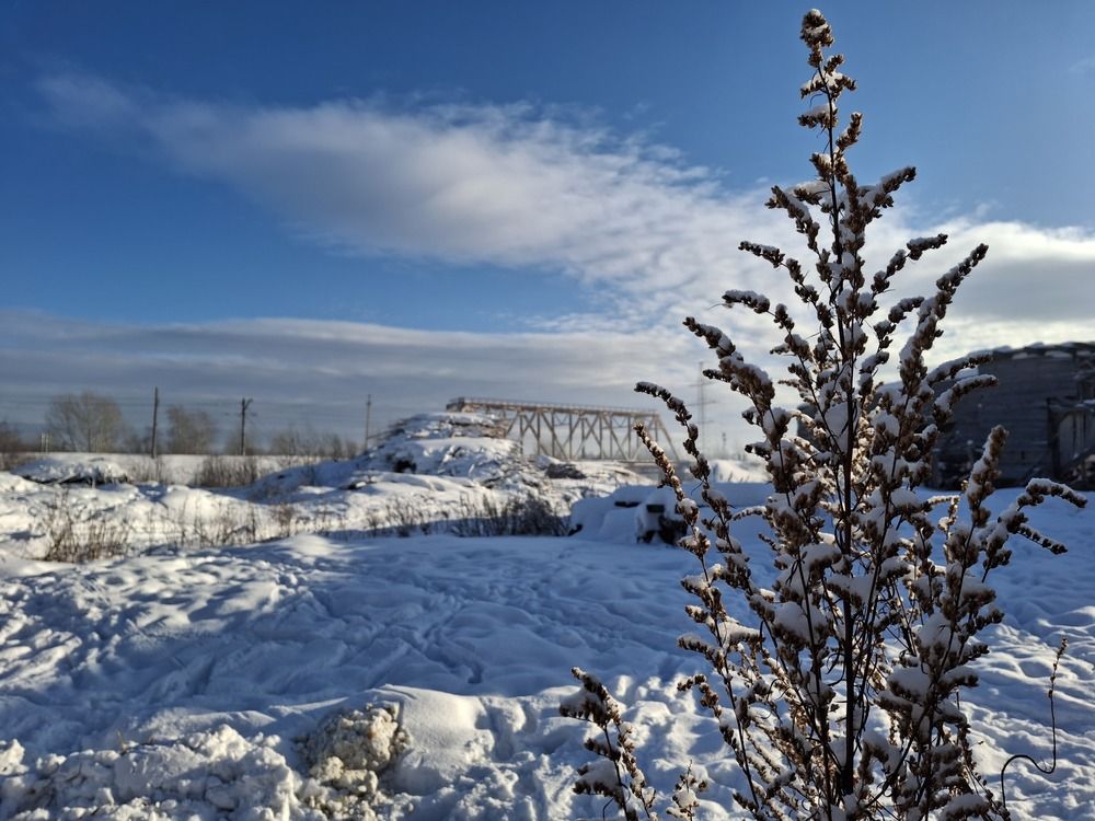 Photograph by Ирина Саттарова