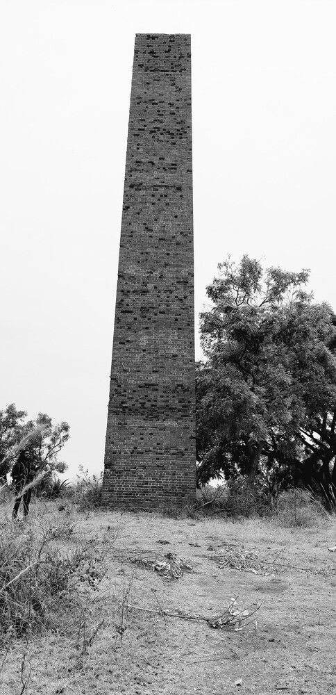 Photograph by Pradyumna K P