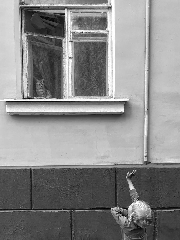 Photograph by Юлия Честнова