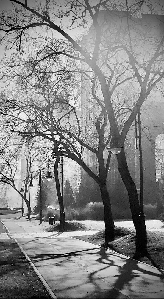 Фотография автора Саша Кё