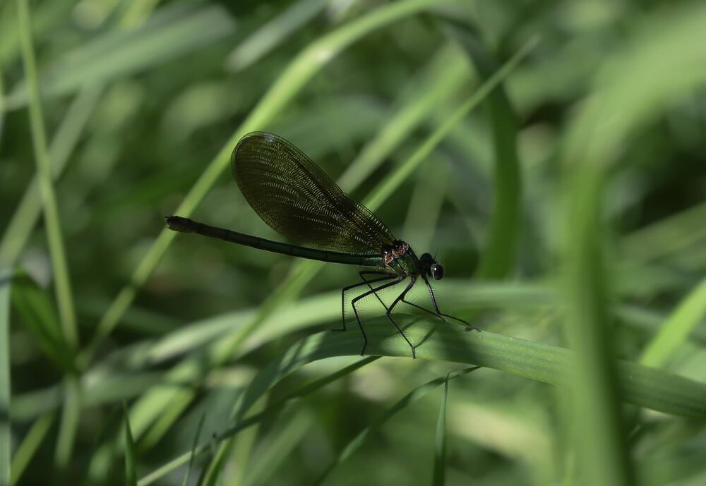 Photograph by Svetlana Gubanova