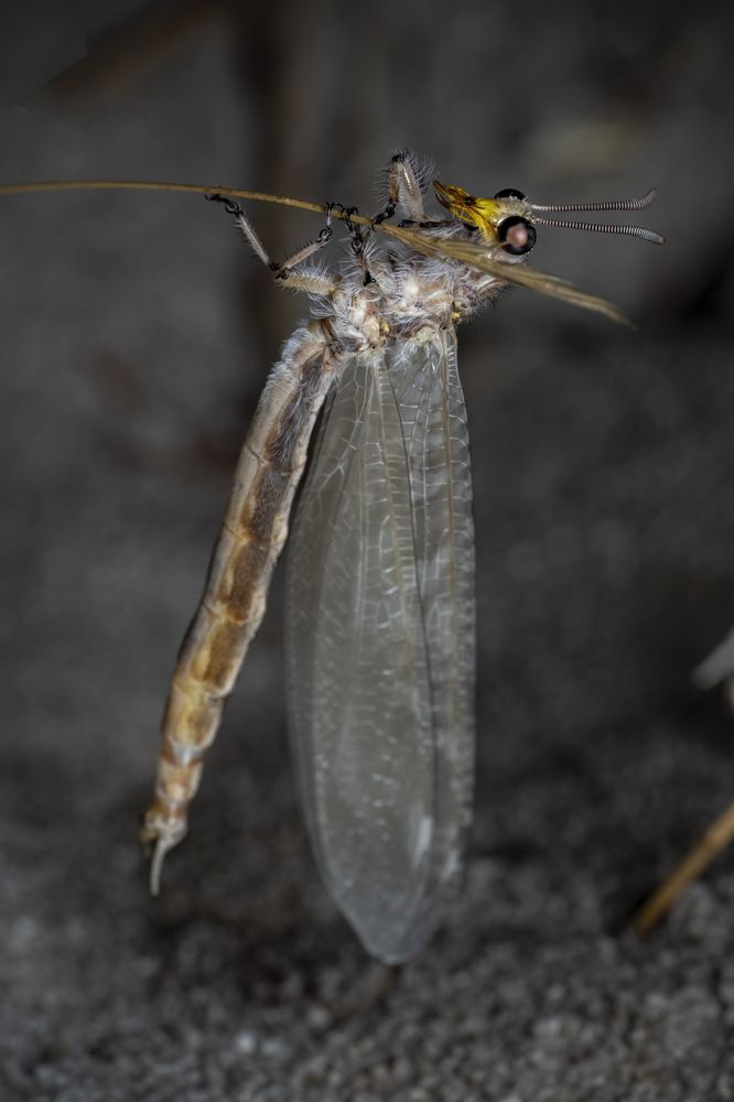 Photograph by Paul Irvine