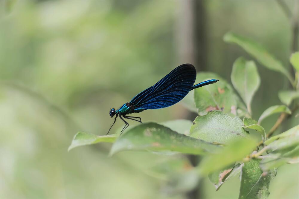 Photograph by Svetlana Gubanova