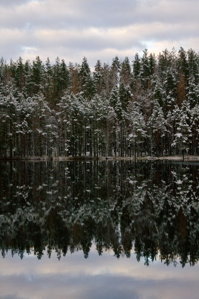 Фотография автора Ярослав Качура